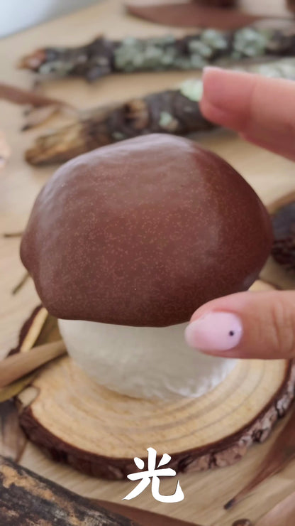 Vela Kinoko きのこ
